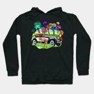 Car wash Hoodie